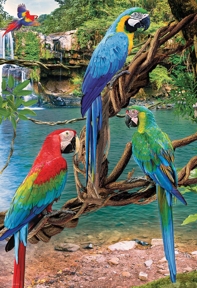 Eurographics Puzzle 250-Pcs Macaws 8251-5588 — image 2