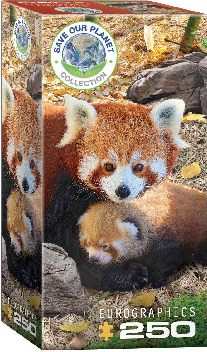 Eurographics Puzzle 250 - Pcs Red Pandas 8251 - 5557 - Colorland Toys
