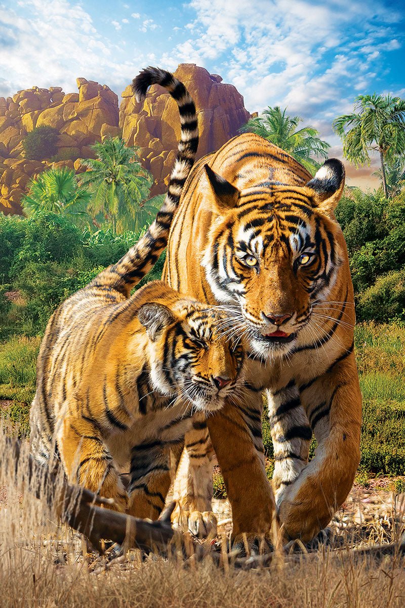 Eurographics Puzzle 250 - Pcs Tigers 8251 - 5559 - Colorland Toys