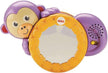 Fisher Price 1-2-3 Crawl Along Monkey FHF75