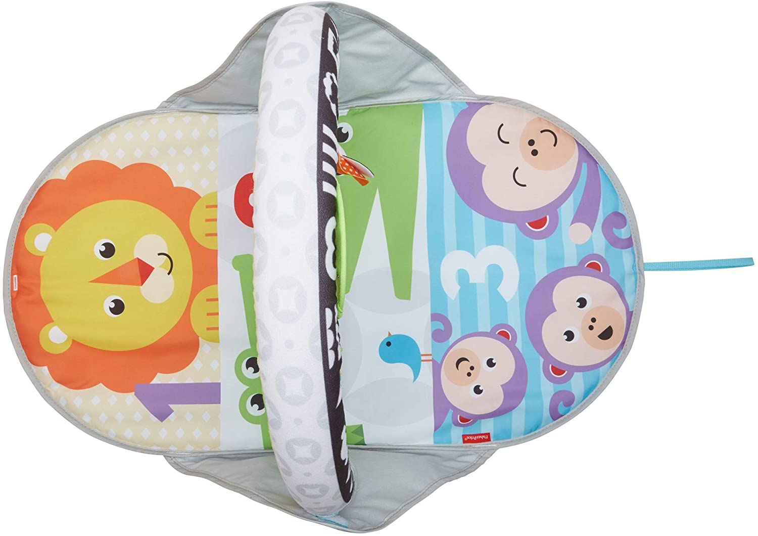 Fisher Price 2 - in - 1 Flip & Fun Activity Gym FXC14 - Colorland Toys
