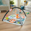 Fisher-Price 3-in-1 Music, Glow and Grow Gym