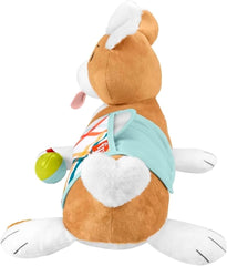 Fisher Price 3in1 Puppy Tummy Wedge HJW10 - Colorland Toys