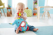 Fisher Price Activity Elephant FDC58