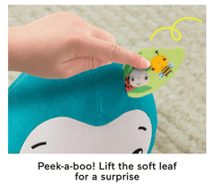 Fisher - Price Music and Sounds Monkey GWT71 - Colorland Toys