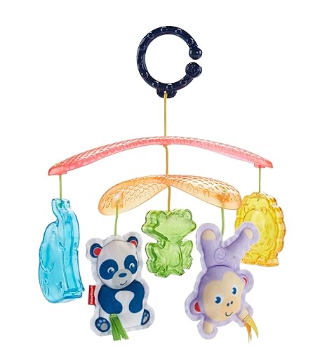 Fisher - Price On - The - Go Stroller Mobile DYW54 - Colorland Toys