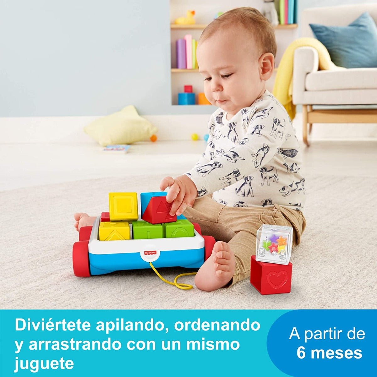 Fisher - Price Pull Along Activity Blocks GJW10 - Colorland Toys