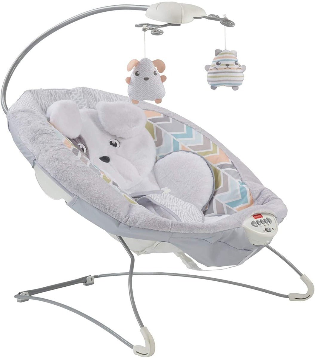 Fisher - Price Sweet Snugapuppy Deluxe Bouncer GWD50 - Colorland Toys