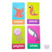 Flash Cards Animals 60810