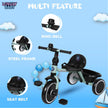 Foldable Tricycle LB 266 for Toddlers, Pink