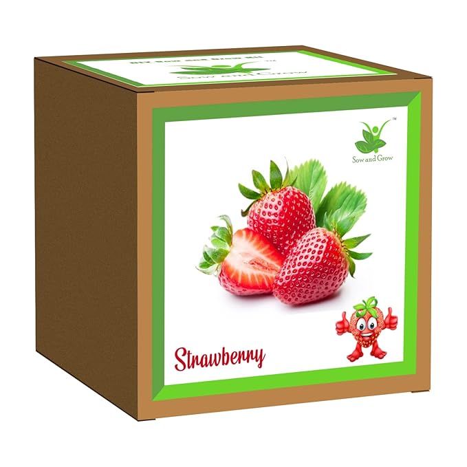 Gardening Kit Strawberry/Mint PG-7706/10C — image 1