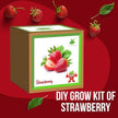Gardening Kit Strawberry/Mint PG-7706/10C