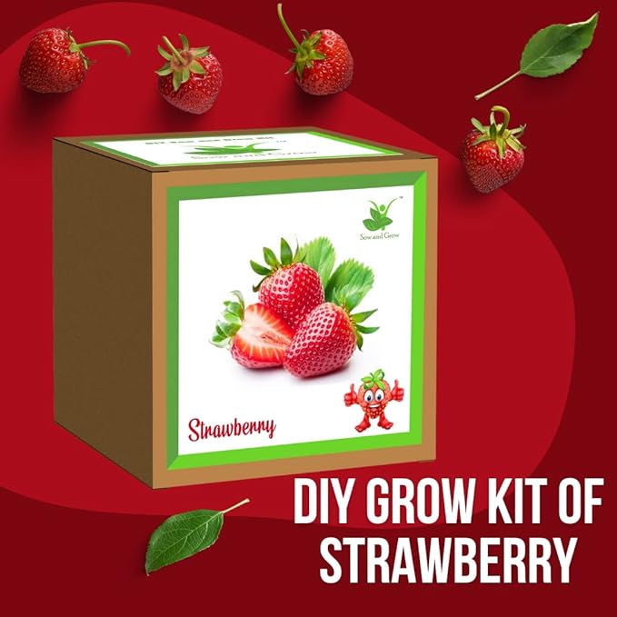 Gardening Kit Strawberry/Mint PG-7706/10C — image 2