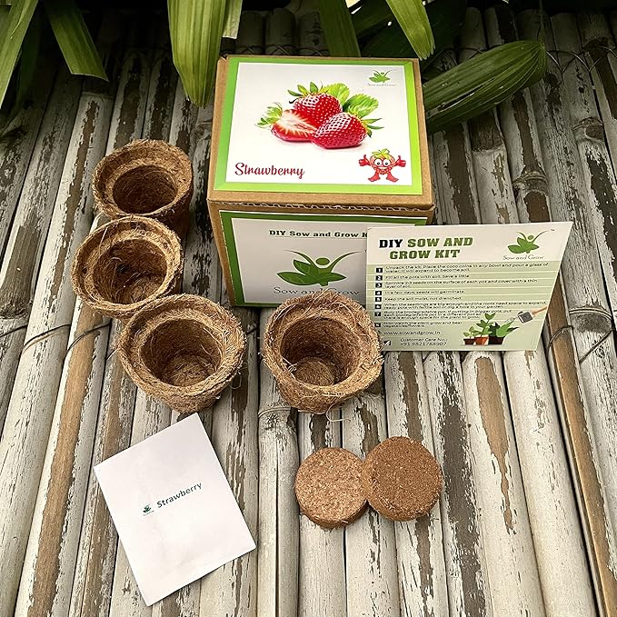 Gardening Kit Strawberry/Mint PG-7706/10C — image 3