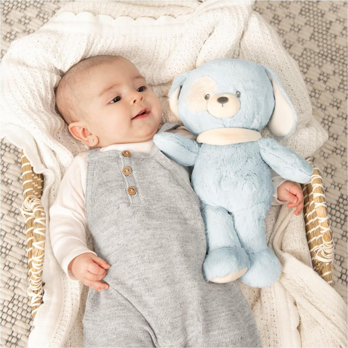 Gund Eco Baby Puppy 6066015 - Colorland Toys
