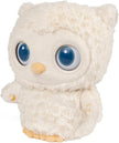 Gund Sleepy Eyes Owl Soother 6061071