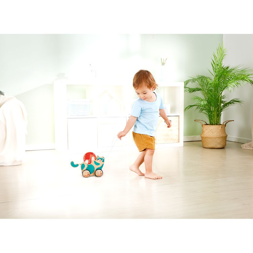 Hape 2 - in - 1 Wooden Pull - Along Roll & Rattle Kitten - Colorland Toys