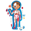 لعبة تركيب جسم الإنسان من هابي، 60 قطعة مع 10 قطع من أجزاء الجسم الخشبية