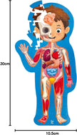 Hape Human Body Jigsaw Puzzle 60pcs w/ 10 pcs Wooden Body Parts