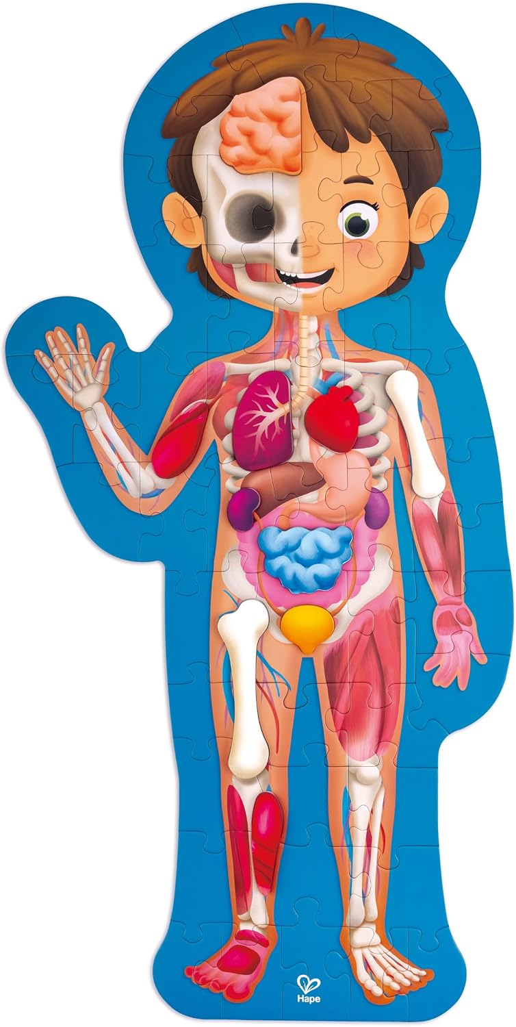 Hape Human Body Jigsaw Puzzle 60pcs w/ 10 pcs Wooden Body Parts — image 4