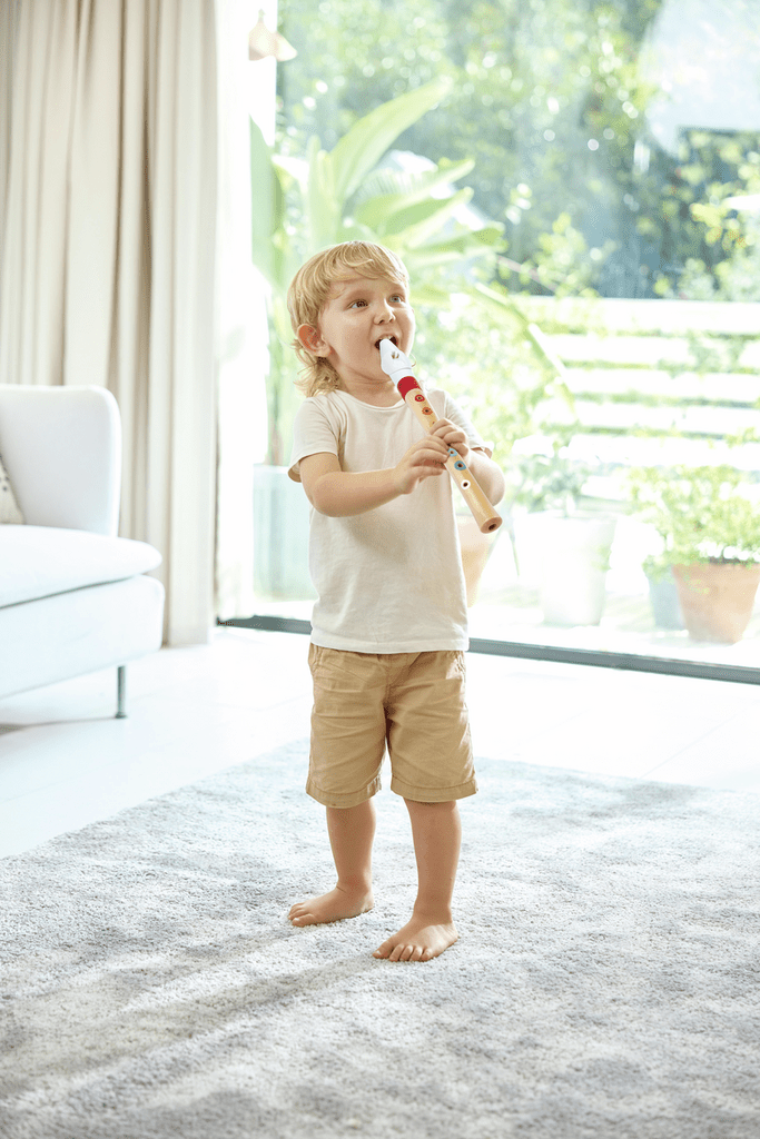 Hape Mini Musician's Starter Recorder E0640 — image 2