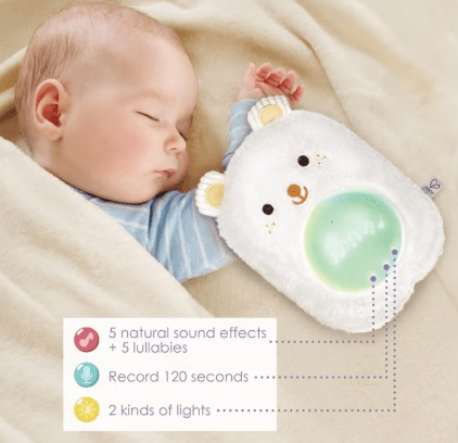 Hape My Musical Pal - Huggy Bobo E0115 — image 2