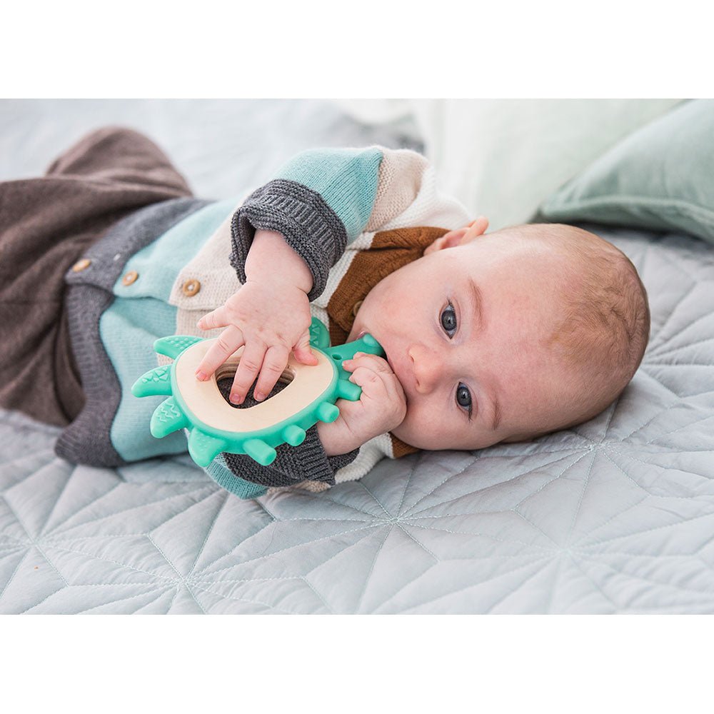 Hape Teether Hedgehog - Colorland Toys