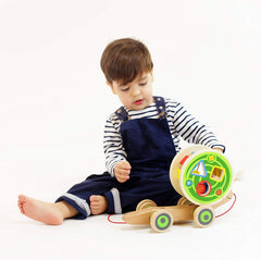 Hape Walk - A - Long Snail E0349 - Colorland Toys