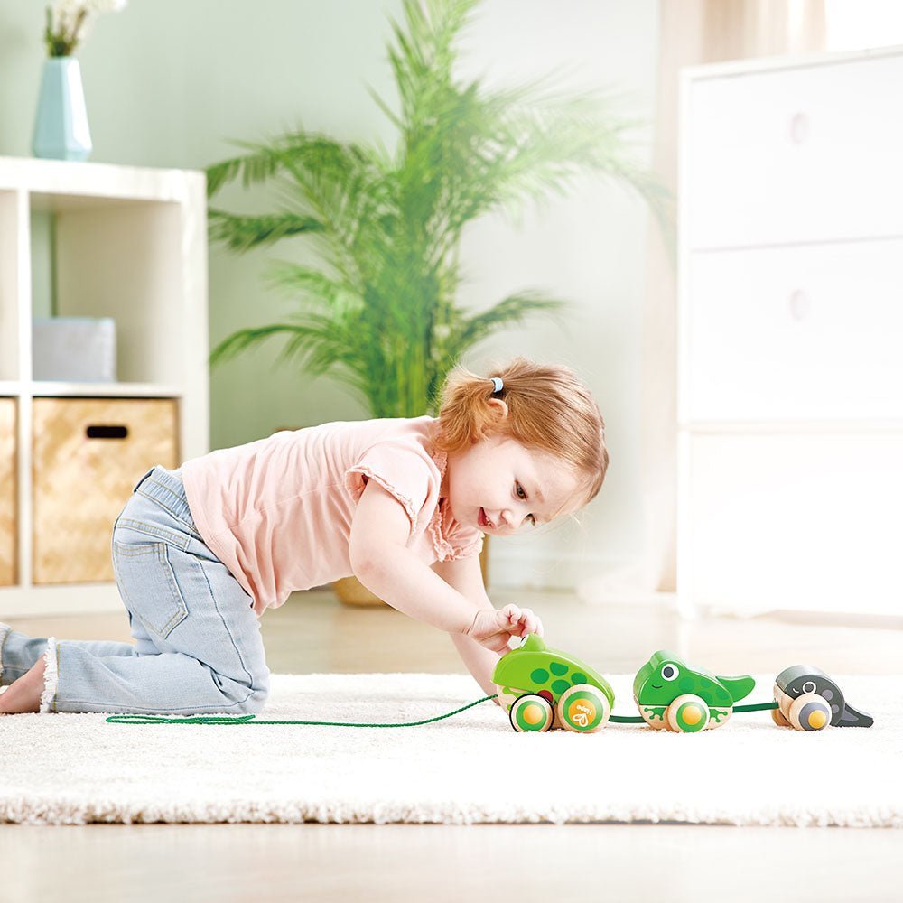 Hape Wooden Frog - Themed Push and Pull - Along Toy - Colorland Toys