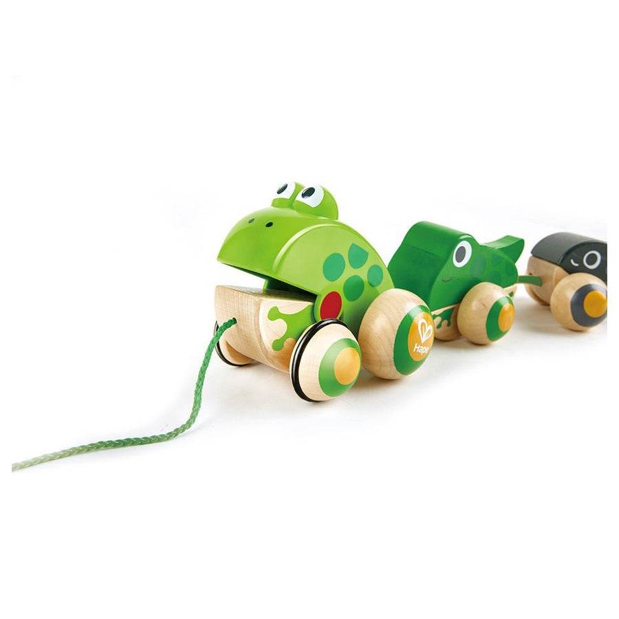 Hape Wooden Frog-Themed Push and Pull-Along Toy — image 2