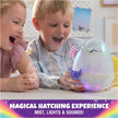 Hatchimals Alive Secret Draggle Asst. 6072544
