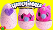 Hatchimals Hatchi Buddies Soft & Cuddly Assorted 6045430