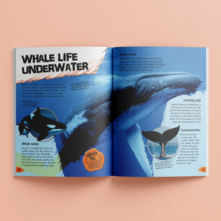 Hinkler Incredible But True: Animals HST00130 — image 3