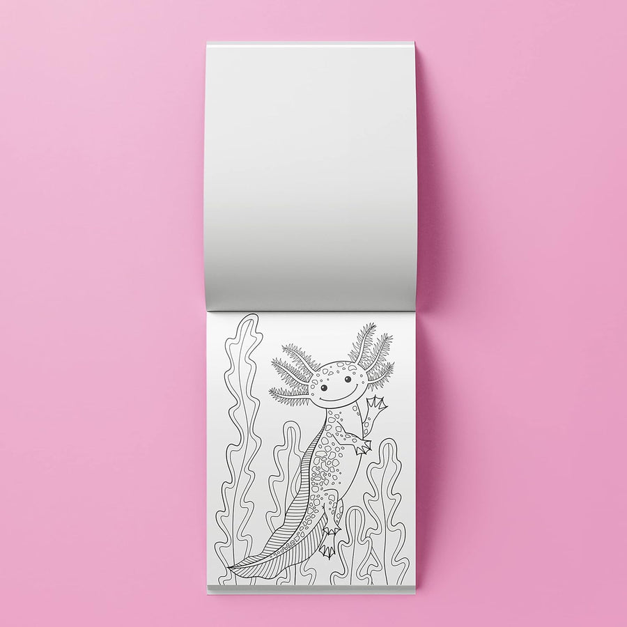 Hinkler Kaleidoscope Axolotls Coloring Kit — image 4