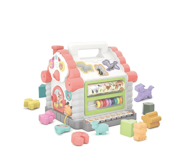 Hola Activity House Shape Sorter 739 - Colorland Toys