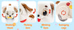 HOLA Musical Dancing Puppy Tummy Time Toy for 6-12 Months