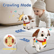HOLA Musical Dancing Puppy Tummy Time Toy for 6-12 Months