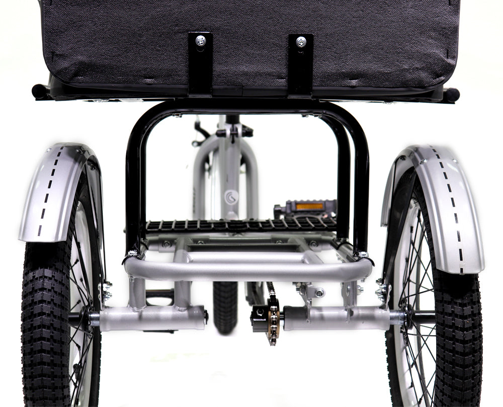 Knolly Three Wheel Bicycle 12 Inch Double Seat Silver - Colorland Toys