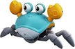 Infini Fun Push n' Go Crab