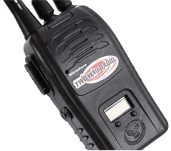 Interphone 2 - Way Radio JQ220 - 6C5/MBRC5502 - Colorland Toys