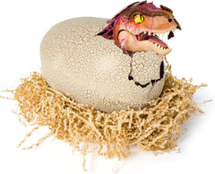 Jurassic Hatching Dino Interactive T - Rex/Tyrannosaure 6072462 - Colorland Toys
