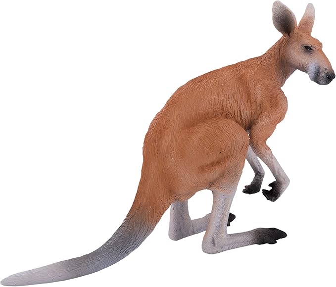 KANGAROO — image 2