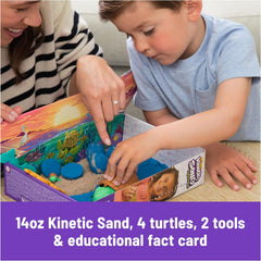 Kinetic Sand Turtle Beach Set 6069781 - Colorland Toys