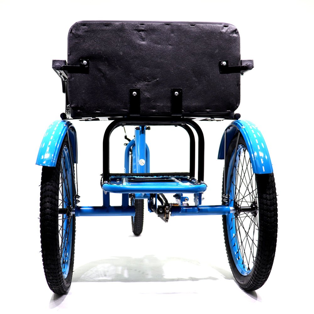 Knolly Three Wheel Bicycle 12 Inch Double Seat Blue - Colorland Toys