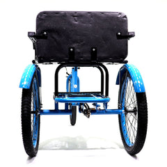 Knolly Three Wheel Bicycle 12 Inch Double Seat Blue - Colorland Toys