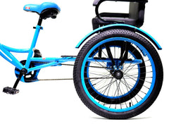 Knolly Three Wheel Bicycle 12 Inch Double Seat Blue - Colorland Toys
