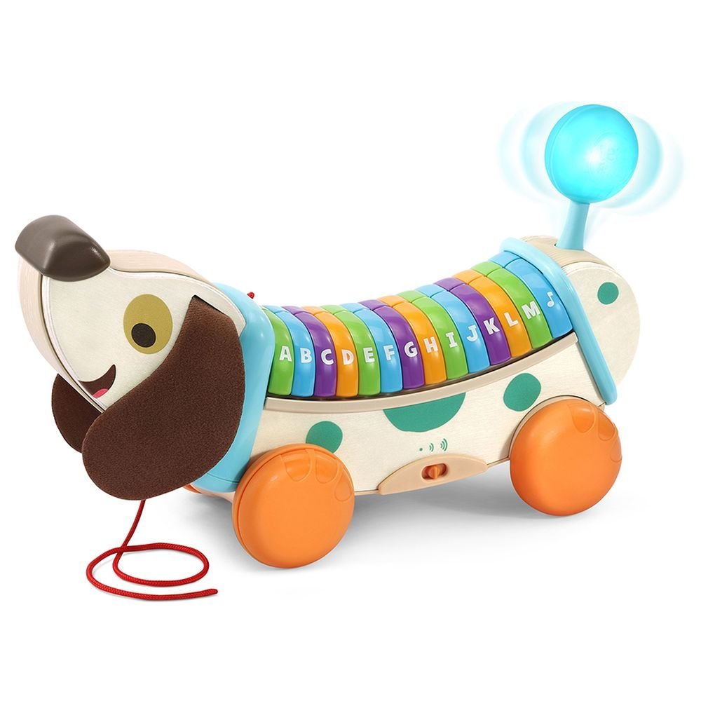 Leapfrog Wooden Alphapup 80 - 615203 - Colorland Toys