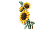 LEGO 11502 Sunflower Bouquet 6588541