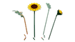 LEGO 11502 Sunflower Bouquet 6588541