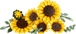 LEGO 11502 Sunflower Bouquet 6588541
